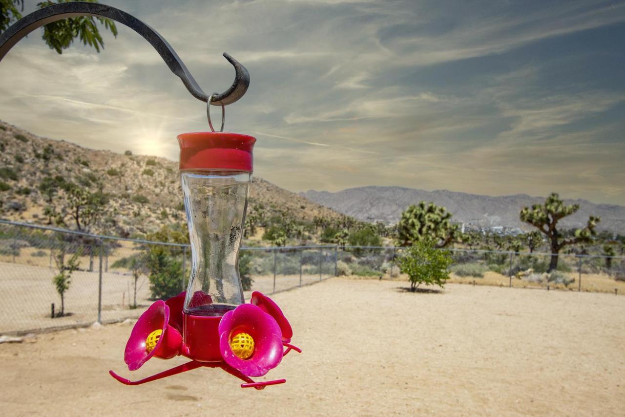 Peaceful Home With Nature Views & Trail Access Yucca Valley Zewnętrze zdjęcie